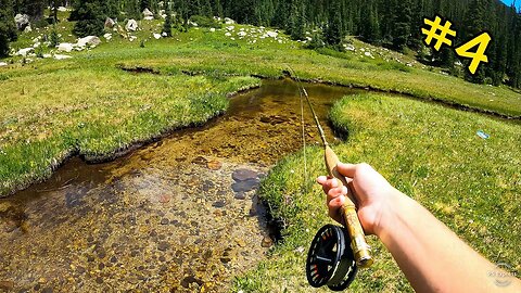 Catching a SUPER RARE TROUT?? (Threatened Species Pt 1) || THE COLORADO SERIES