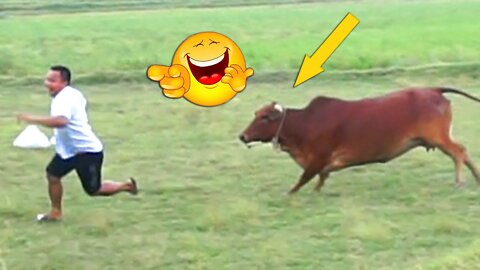 Try Not To Laugh | Funny Video Compilation | Best Funny Video 2021 | Funny Vines Compilation