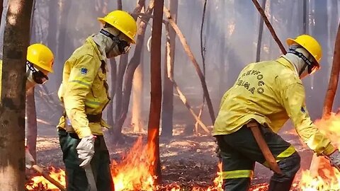 PIADA DE MAU GOSTO? IBAMA SÓ PODEESTAR EM OUTRA REALIDADE! ASSISTA O VÍDEO: