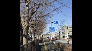 Yokohama Street, Beautyful