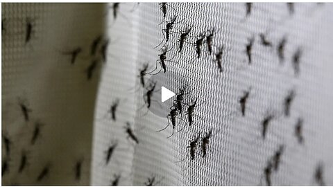 This is Bill Gates’ Mosquito Factory in Colombia. 30 million GMO Mosquito every week |11 countries.