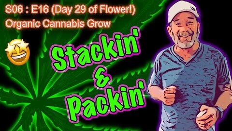 S06 E16 (Day #106) || Day 29 of Flower || Season 5 Skunk