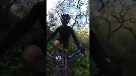 Mountain Bike | Solo ride | Lisbon