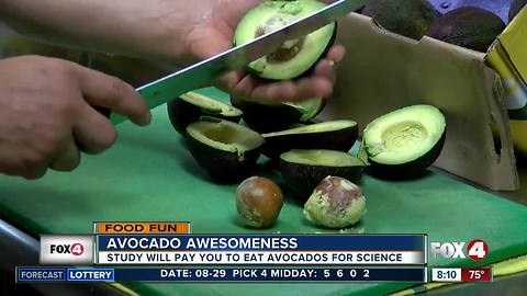 Paid green to eat green: Colleges paying students to eat avocados for study