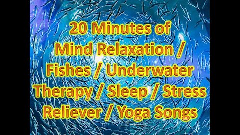 Guaranteed Relax in 20 Minutes of Mind Relaxation / Fishes / Sleep / Stress Reliever / Yoga