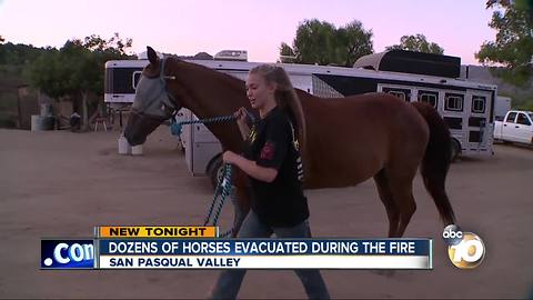 Dozens of horses evacuated during Cloverdale Fire