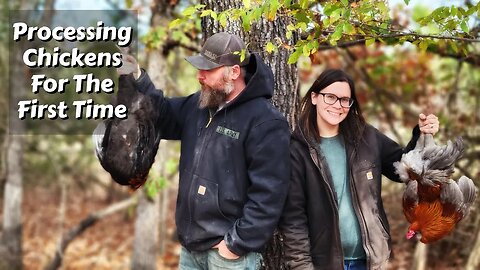 Processing Chickens | First Time | DIY