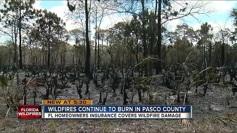 Florida homeowners insurance covers wildfire damage