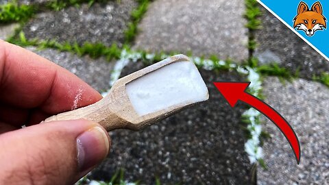 Sprinkle THIS on your WEEDS and it will DIE 💥 (weed removal made easy) 🤯