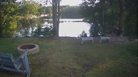 On The Lake ( Duck Feeding )