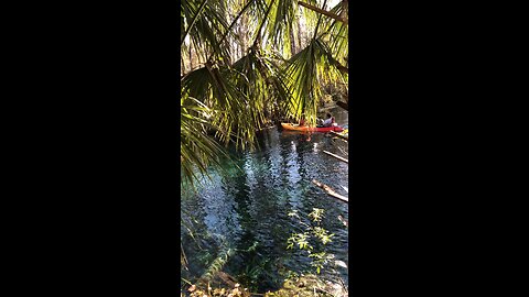 Couple struggles paddling