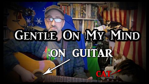 Gentle On My Mind on Guitar (with my cat)