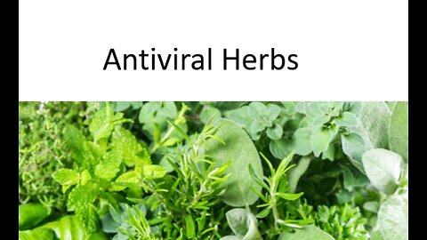 Antiviral Herbs - Natural Treatment