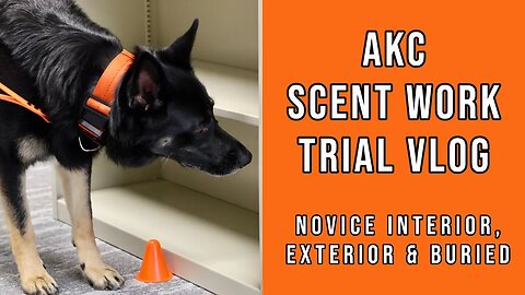 AKC Scent Work Trial - Novice Interior, Exterior and Buried (Juneau)