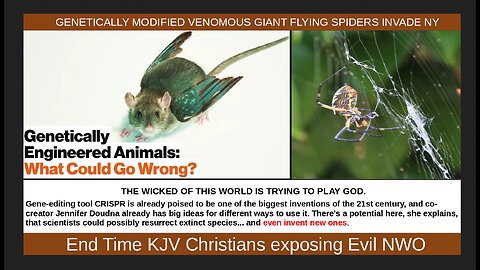 GENETICALLY MODIFIED VENOMOUS GIANT FLYING SPIDERS INVADE NY