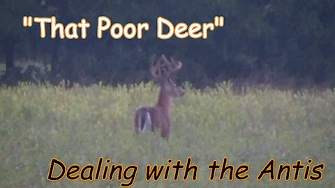 That Poor Deer- Dealing With Antis