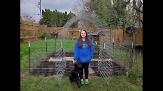 New Garden! New Fence!