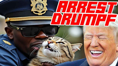 Illegal Alien Haitians File Criminal Charges Against Trump Over Cat Memes