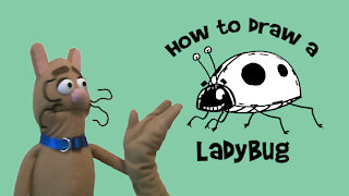 How to Draw a Ladybug