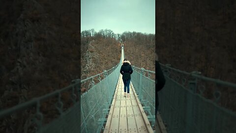 Geierlay Suspension Bridge. Germany. #shorts