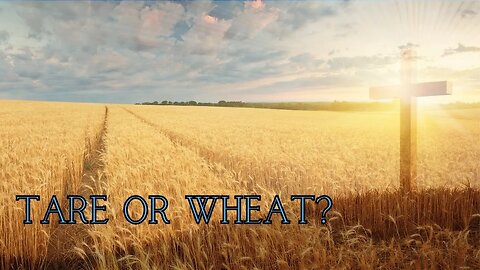 Tare or Wheat?