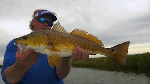 Redfish Fever