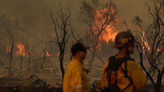 Bobcat Fire Growing From Wind, Low Humidity