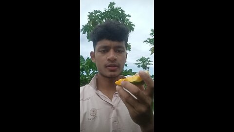 Eating delicious papaya