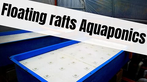 Aquaponic floating raft grow beds (hybrid aquaponic system) - How to cut Styrofoam