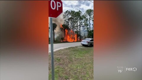 Transportation Department to check Alligator Alley