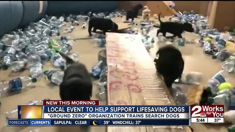 Local event to help support lifesaving dogs