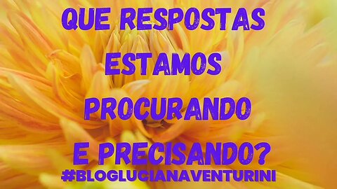 Que respostas estamos procurando e precisando? #lucianaventurini #silvioalbuquerque