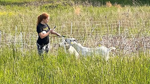 Chrissie Mayr Meets Goats at Rockwood & Rockefeller Park on the Hudson River in Westchester New York