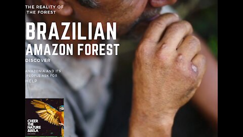 Amazon rainforest - the terrible reality of the forest worker -