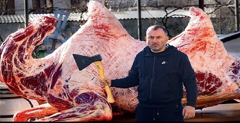 Cooking a camel on a barbecue grill