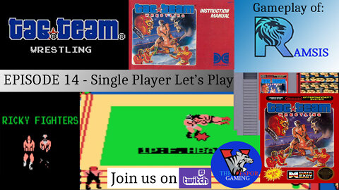 Solo NES Let's Play | Tag Team Wrestling (NES) - Full Playthrough | Ricky Fighters