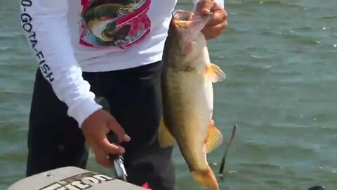 Mexico bass action with Abu Garcia.