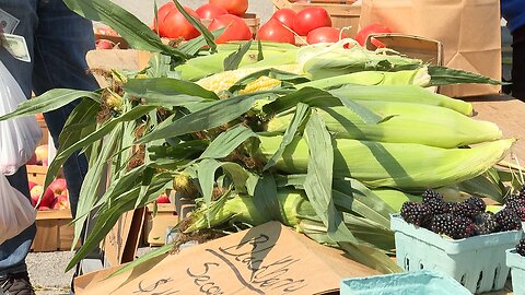 Hundreds attend inaugural NT Cornfest in Niagara County