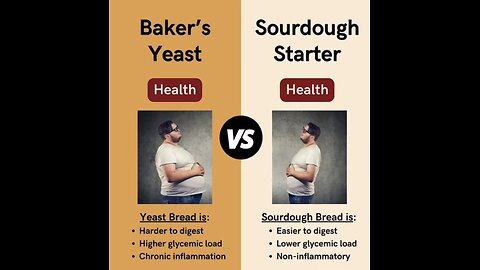 SOURDOUGH BREAD🥖🥠VS YEAST BREAD🍞🥧💫