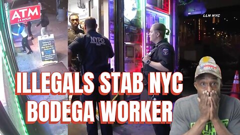 Illegal Immigrants Stab NYC Bodega Worker After Caught Stealing