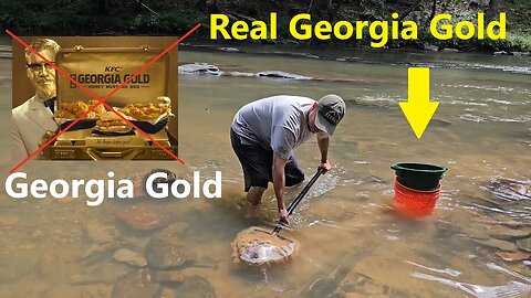 Georgia Gold is not just a flavor of KFC chicken. #findinggold