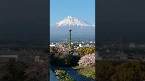 Japan , Mountain FUJI and flying over cherry blossom #shorts