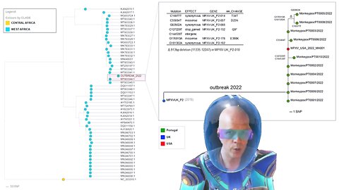 Two Studies now suggest the circulating Monkeypox Virus has been manipulated in a Biolab