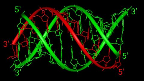 20200426 THE TRIPLE HELIX (Full)