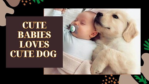 DOG LOVE WITH BABY, DOG VS BABY - CUTE DOG VIDEO - PETS WORD