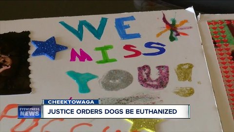 Four dogs that killed neighbors' dog in Cheektowaga to be euthanized