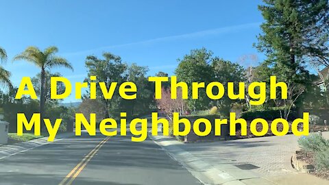 Driving Through My Neighborhood