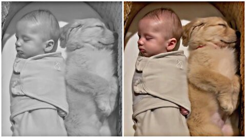 Cute Dog Refuses To Get Out Of Babies Bed Then Falls Asleep Cuddling Him!! Cutest video Ever