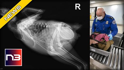 TSA FINDS SOMETHING FOWL AT SECURITY CHECKPOINT