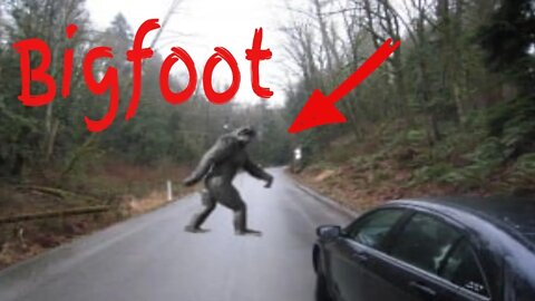 Bigfoot May Have Scared Driver Off Road in Kalamazoo, Michigan